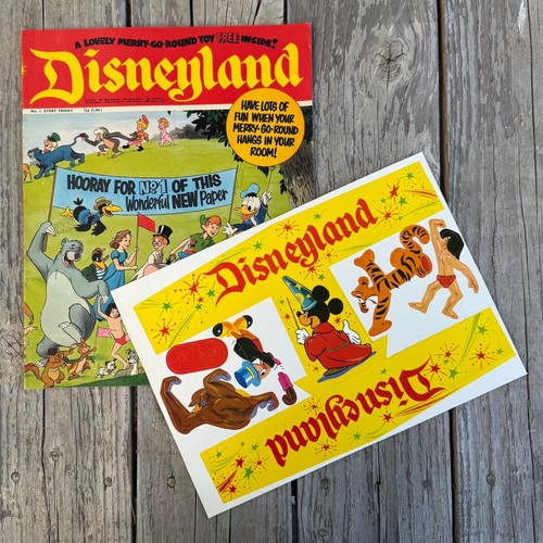 Rare vintage 1971 - rare, disneyland